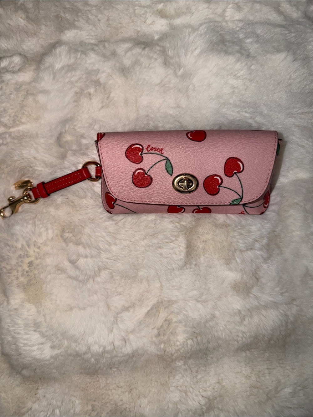 Coach sunglasses case